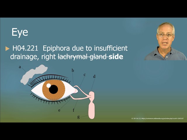 2019 ICD 10 CM code changes