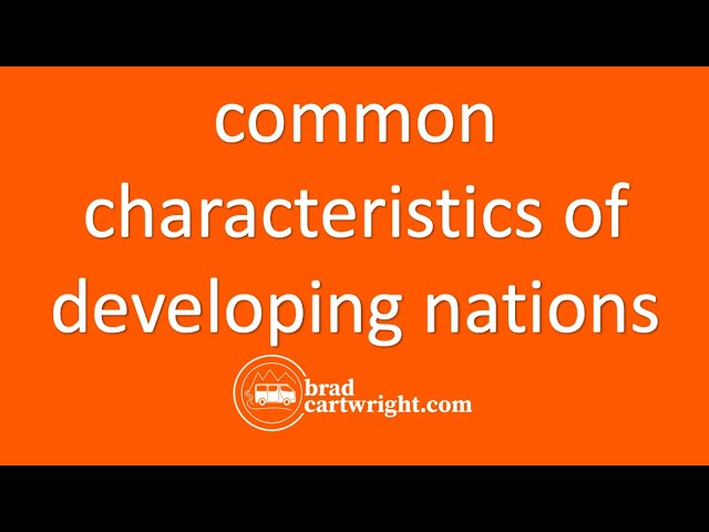 What are the Common Characteristics of Developing Nations? | The Global Economy | IB Exam Review