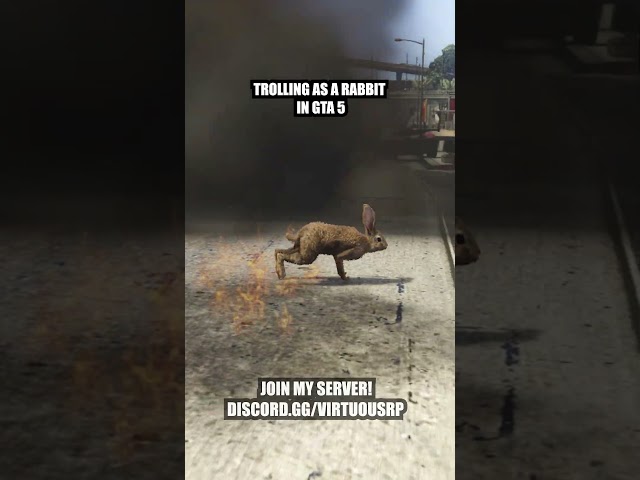 Trolling Rabbit in GTA 5 #gta5rp