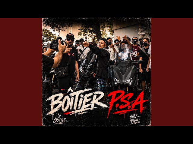 Boîtier P.S.A