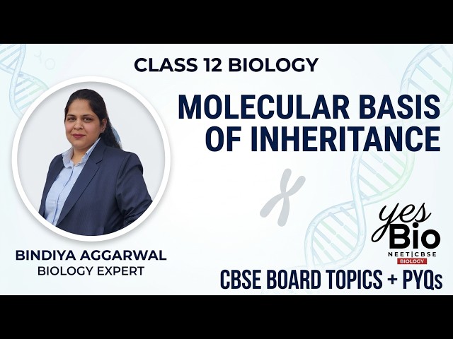 Molecular Basis of Inheritance | Class 12 Biology 🔥 PYQs + NCERT | Board Exam 2027 Preparation