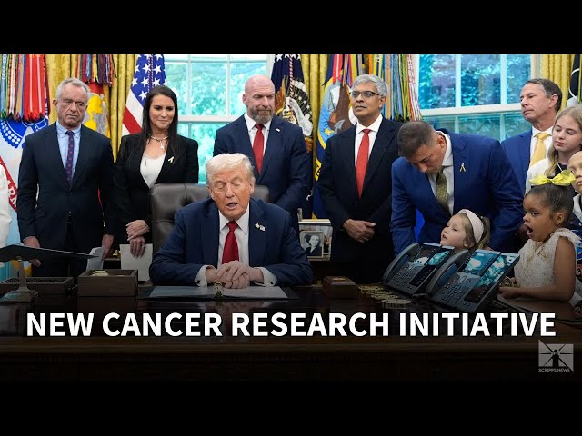 Explaining the White House's new AI-based cancer research initiative