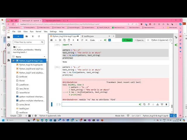 20.1 Python Regex