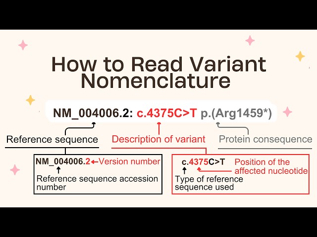 Variant Nomenclature Made Easy (HGVS) | How to Read Genetic Reports