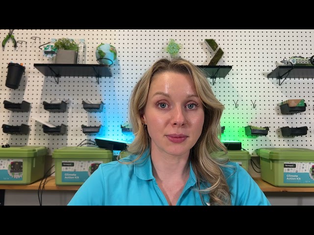 Forward Education Learning Platform Overview