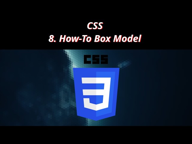 CSS 8 🎨 How To Box Model