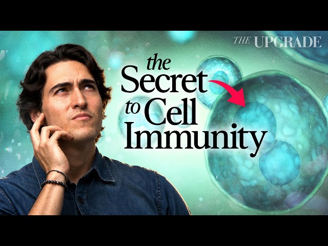 Your Source of Happiness Determines Your Immunity