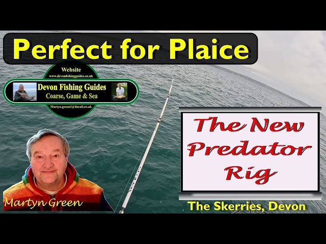 Perfect for Plaice - The New Predator Rig