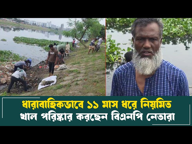 ধারাবাহিকভাবে ১১ মাস ধরে নিয়মিত খাল পরিষ্কার করছেন বিএনপি নেতারা I Voice Bangla