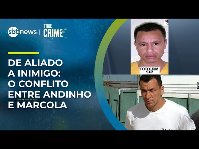 NWS TRUE CRIME ANDINHO LONG CUT 2