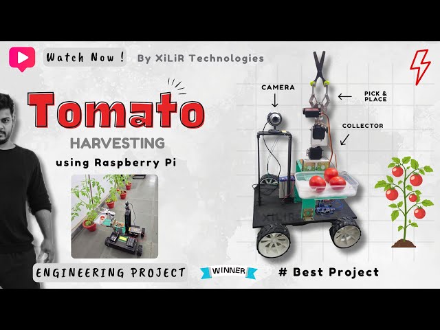 🍅 Tomato Harvesting Robot using Raspberry Pi | AI Smart Farming Project