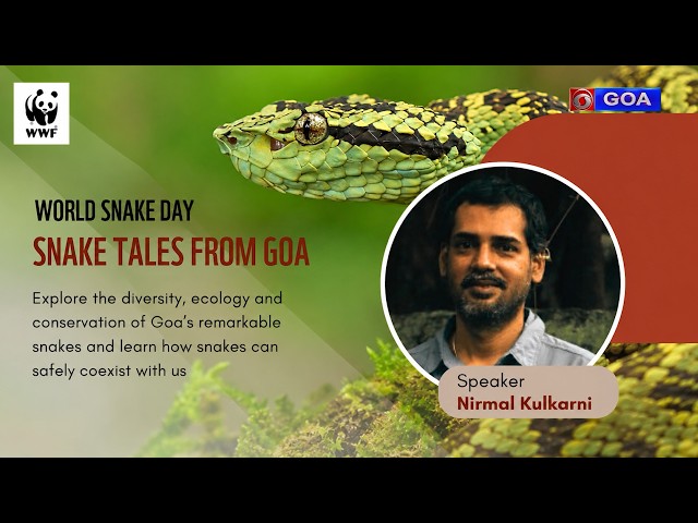 WORLD SNAKE DAY | Special TV Report by Niraj Prabhu