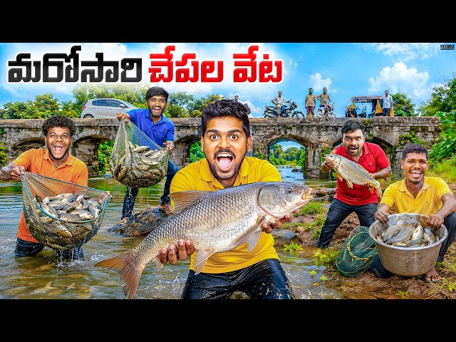 Amazing Big Size Katla Fishing Village Live Fishing 🔥🔥 Telugu Experiments