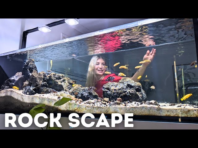Building an African Cichlid Aquascape with Rocks