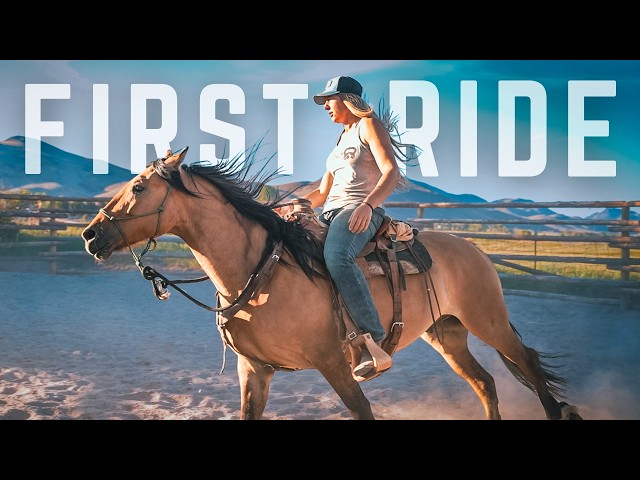 Riding My Wild Mustang for the First Time!