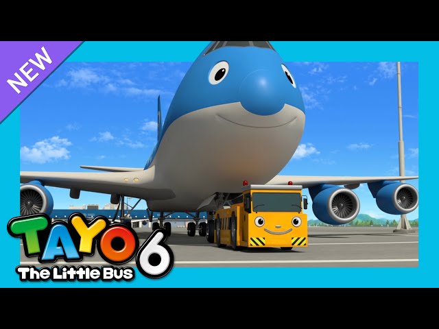 Tayo S6 E9 ¡MI AMIGO, CARGO! | Tayo Serie 6 Episodio | Tayo el pequeño Autobús Español