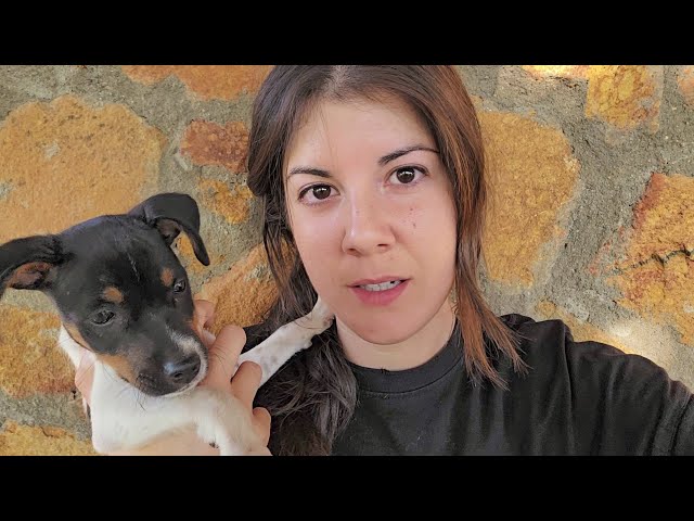 Atendiendo a Tinto, el cachorro bodeguero de mi hermano