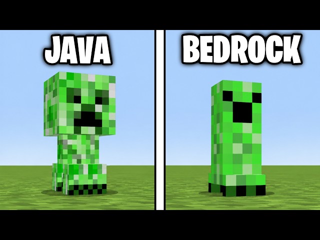 169 Java vs Bedrock: Big Differences You Need to Know in Minecraft! (Compilation)