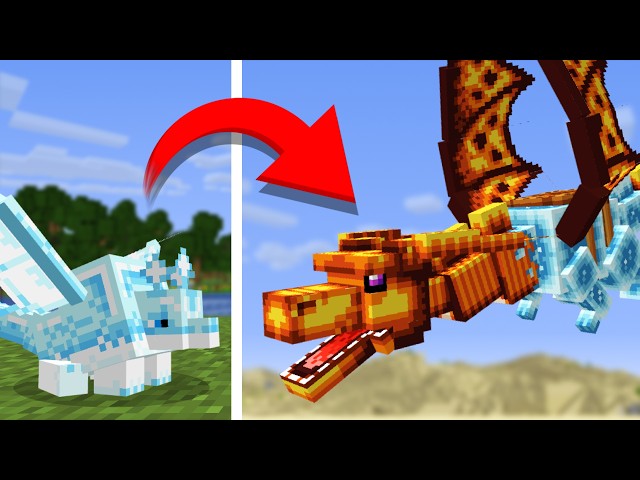 I added Better Dragons to Minecraft
