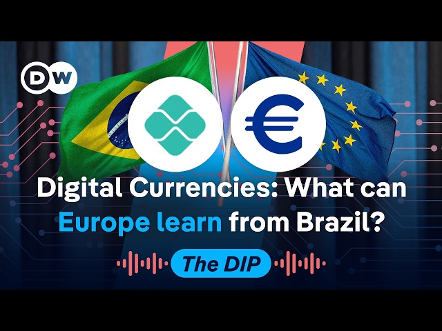 The national payment system taking on Big Tech | DW News