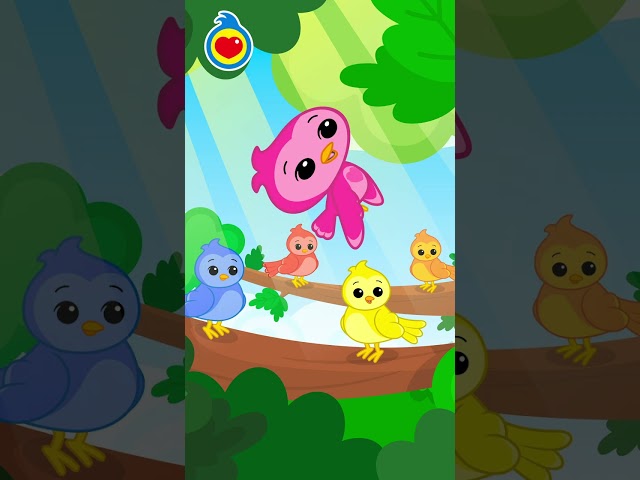 LOS PAJARITOS #CancionesInfantiles #PlimPlim #Shorts