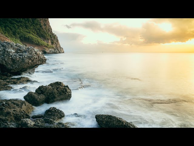 Gentle Healing Music to Calm the Nervous System. Stress Relief, Deep Relaxation & Meditation!
