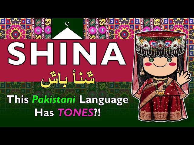 You’ve Heard Urdu… But Have You Heard SHINA?! 😱 (Astori Dialect)