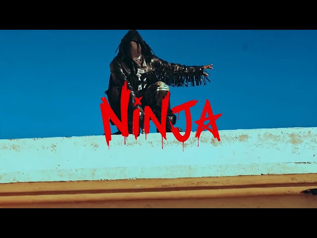 NINJA feat. @GIMS  (Visualizer)