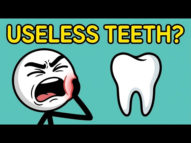 Why Do Humans Have Wisdom Teeth?