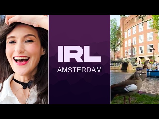 Luality Live at Amsterdam