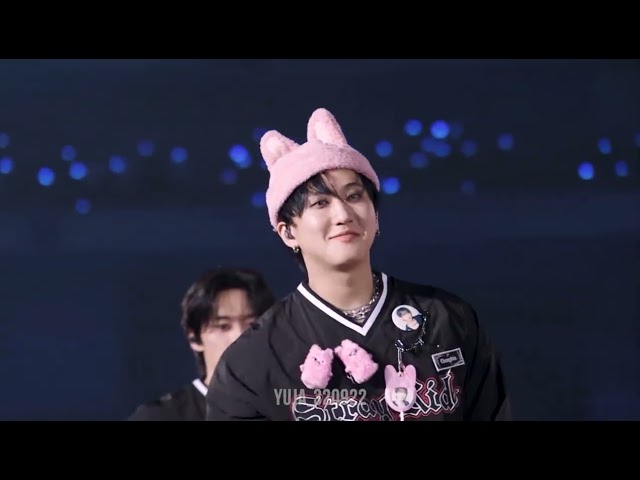 [Full HD] 241117 Stray Kids "FAM" Live Performance @ DominATE in Tokyo Day 3