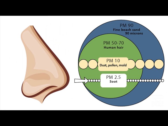 Particulate matter? Here's what it is and how to avoid it