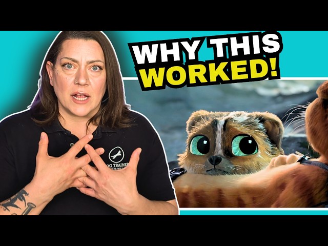 Dog Trainer Explains Why Puss In Boots Last Wish Proves Therapy Dogs Work [Reaction EXTENDED CUT]
