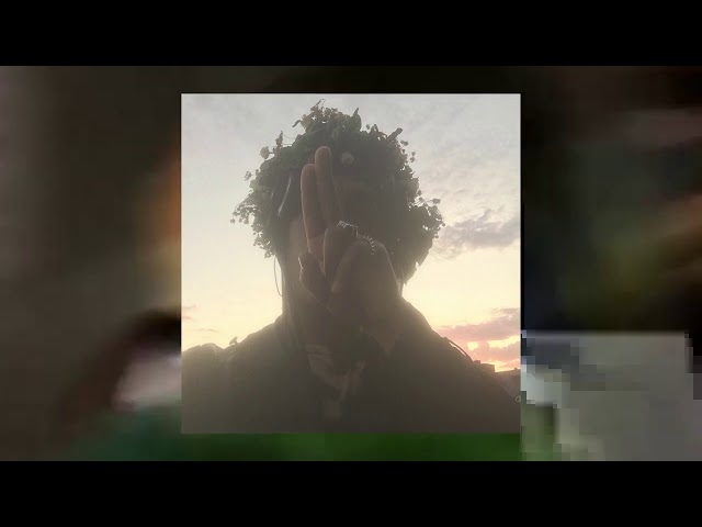 Ecco2k - Pollen (A/V)