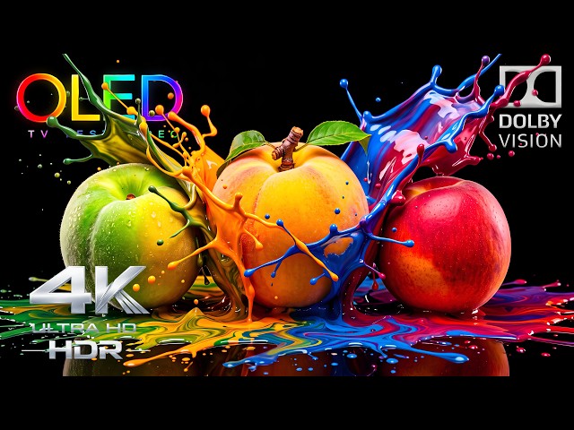The ONLY 4K OLED Display Test You'll Ever Need | True 4K HDR 240FPS Dolby Vision (4K Video TV)