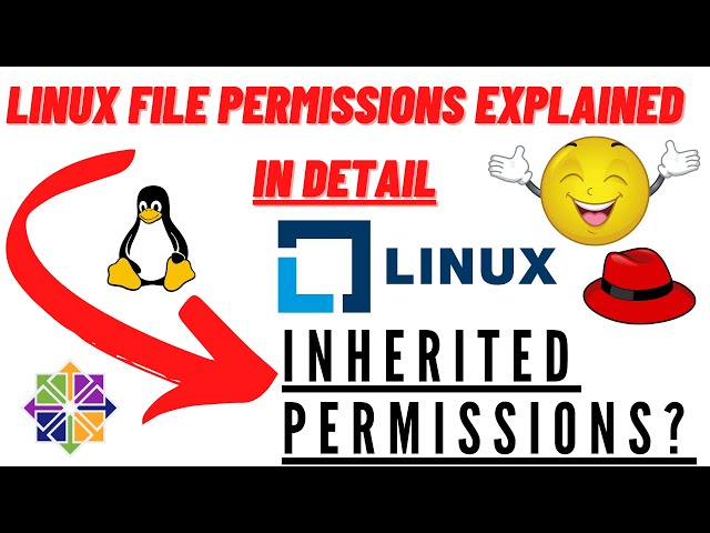 Linux file permissions explained in one video, what are inherited permissions🤨 ?  super easy [4k]🏇🏼
