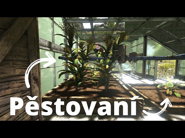 Stal jsem se farmáře ( Jak pěstovat ) - Ark Survival Evolved CZ/SK