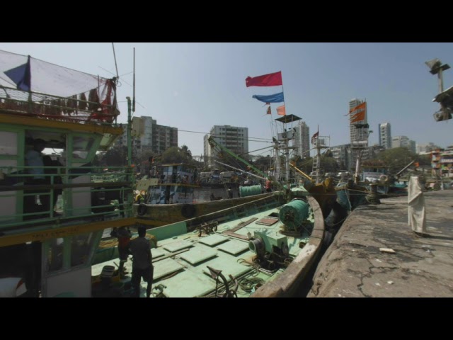 Sassoon Dock | 3D VR180 | Metavian