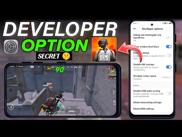 Secret Developer Option Settings to Boost BGMI FPS 60/90 