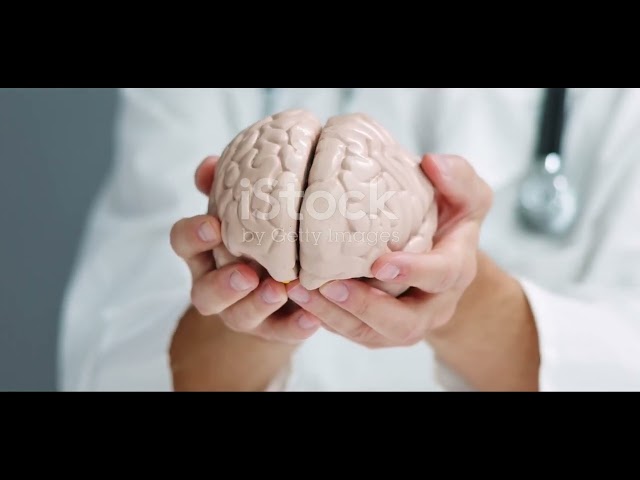 FUNCIONES DEL CEREBRO Y MAS