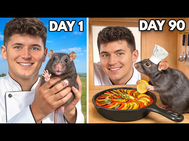 I Trained A Rat To Cook Ratatouille