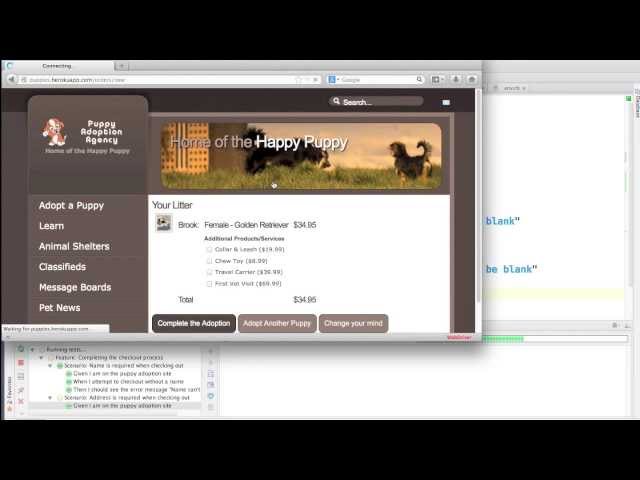 Developing Test Automation Scripts with RubyMine