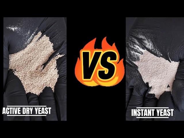 INSTANT YEAST VS ACTIVE DRY YEAST: WHAT'S THE DIFFERENCE?