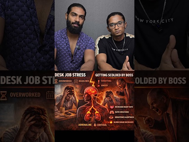 What Is Stress? Fight or Flight Explained | Ancient Stress vs Modern Stress (Part 2)