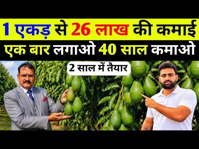 Foreign ✈️ farming that makes you a millionaire. Modern farming in India. Smart farming 2026