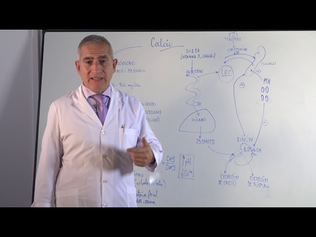 CALCIUM METABOLISM