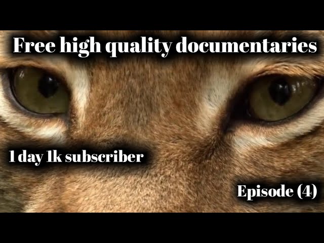 Free high quality 4k documentaries nocoyright claim frer