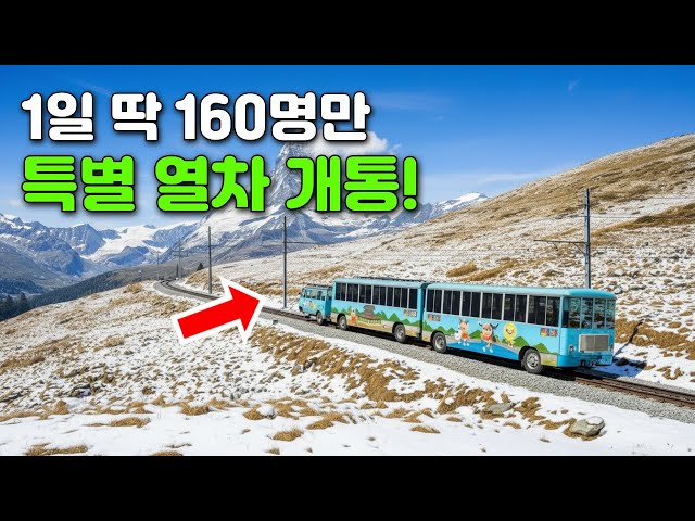 🎉신규 개통! 10월 2일 새롭게 개통된 민통선 출입 열차와 12월에서 3월까지 꼭 가봐야할 당일치기 여행지 7 | 당일치기 여행코스 추천