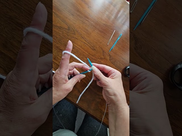 Slip knot and single cast on.
