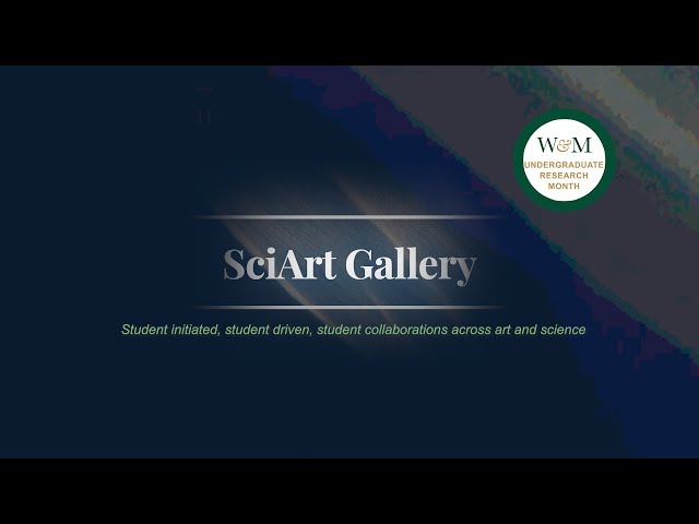 SciArt: An undergraduate research gallery